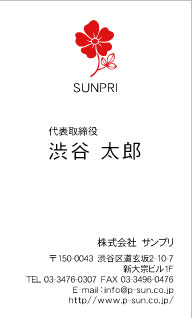 デザイン名刺スタンダード DT-021